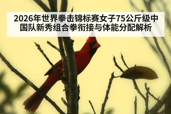 2026年世界拳击锦标赛女子75公斤级中国队新秀组合拳衔接与体能分配解析（jiuyou game）